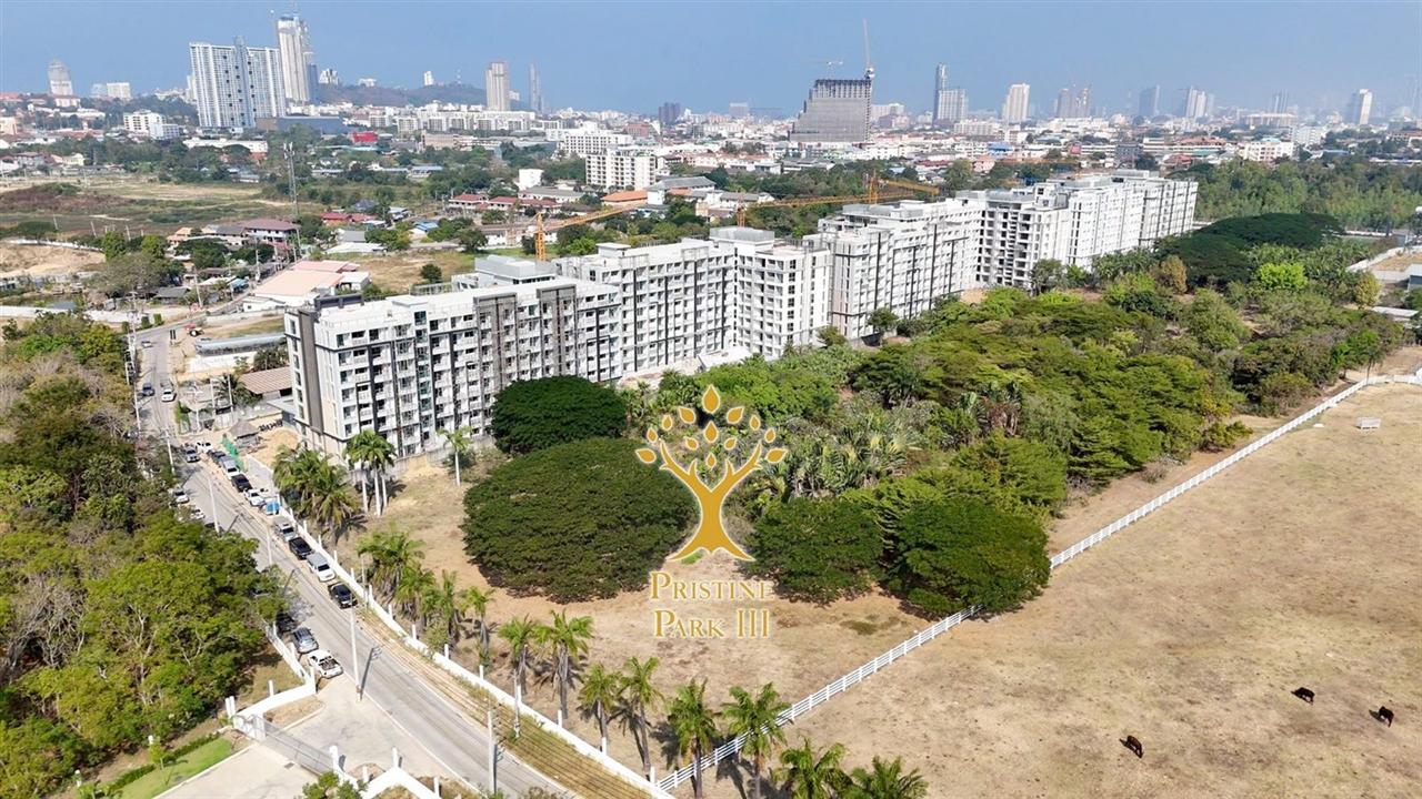 Pristine Park 3