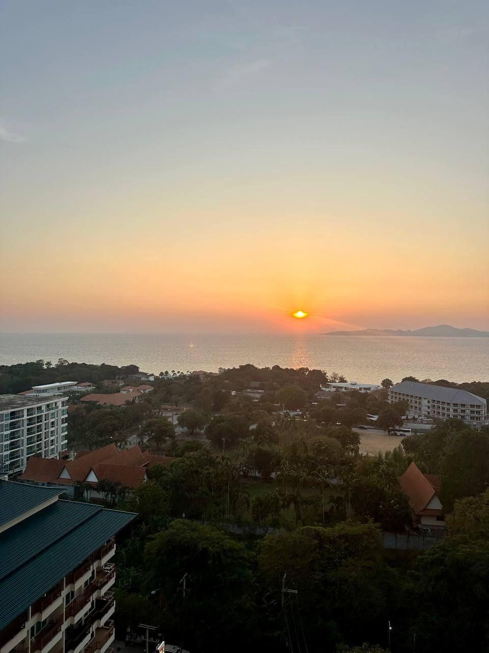 The View